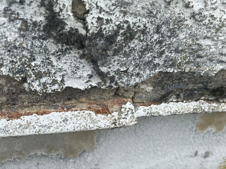 WhatsApp Image 2024-01-30 at 18.27